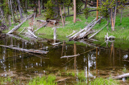 sunrise in Yellowstone lake in Yellowstone National Park in Wyomingの写真素材