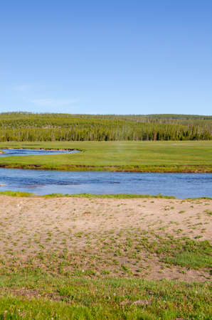 trees, river, Geyser and hot spring in old faithful basin in Yellowstone National Park in Wyomingの写真素材