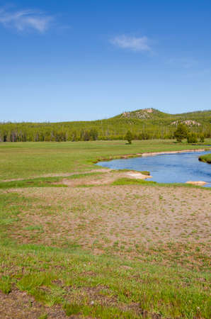 trees, river, Geyser and hot spring in old faithful basin in Yellowstone National Park in Wyomingの写真素材