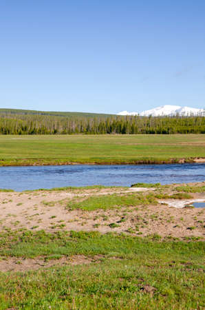 trees, river, Geyser and hot spring in old faithful basin in Yellowstone National Park in Wyomingの写真素材