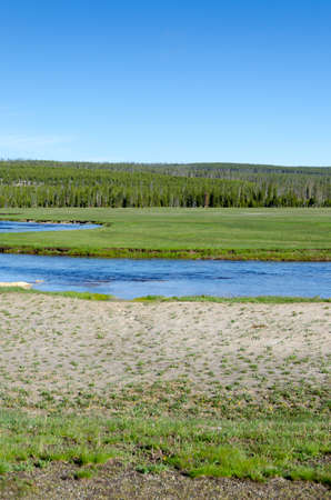 trees, river, Geyser and hot spring in old faithful basin in Yellowstone National Park in Wyomingの写真素材