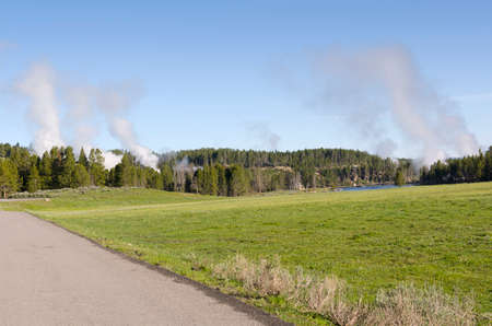 trees, river, Geyser and hot spring in old faithful basin in Yellowstone National Park in Wyomingの写真素材