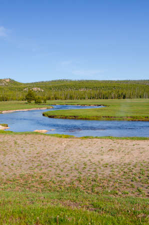 trees, river, Geyser and hot spring in old faithful basin in Yellowstone National Park in Wyomingの写真素材