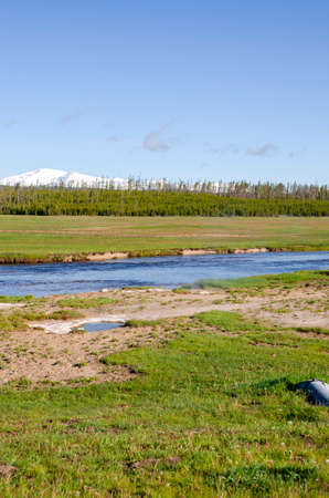 trees, river, Geyser and hot spring in old faithful basin in Yellowstone National Park in Wyomingの写真素材