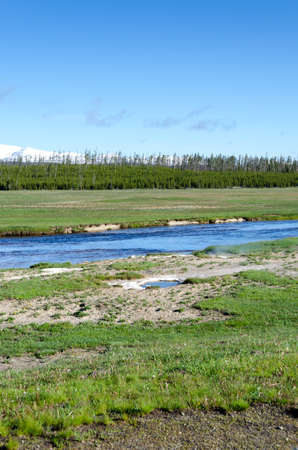 trees, river, Geyser and hot spring in old faithful basin in Yellowstone National Park in Wyomingの写真素材