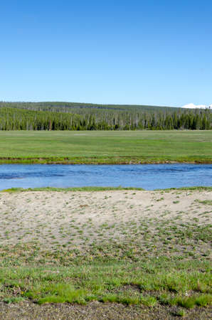 trees, river, Geyser and hot spring in old faithful basin in Yellowstone National Park in Wyomingの写真素材