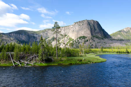 trees, river, Geyser and hot spring in old faithful basin in Yellowstone National Park in Wyomingの写真素材