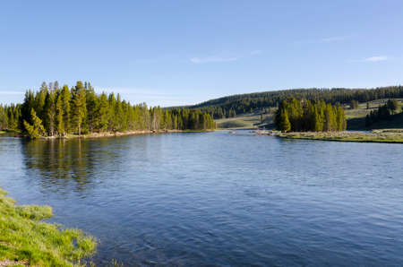 trees, river, Geyser and hot spring in old faithful basin in Yellowstone National Park in Wyomingの写真素材