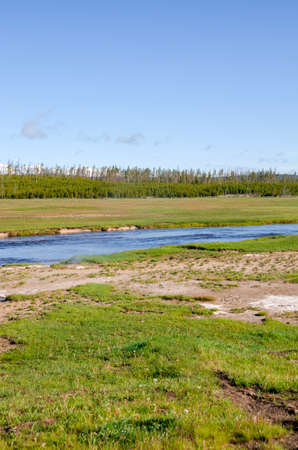 trees, river, Geyser and hot spring in old faithful basin in Yellowstone National Park in Wyomingの写真素材