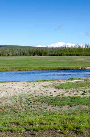 trees, river, Geyser and hot spring in old faithful basin in Yellowstone National Park in Wyomingの写真素材