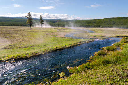 trees, river, Geyser and hot spring in old faithful basin in Yellowstone National Park in Wyomingの写真素材