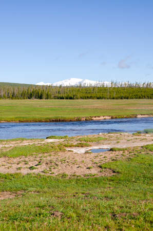 trees, river, Geyser and hot spring in old faithful basin in Yellowstone National Park in Wyomingの写真素材