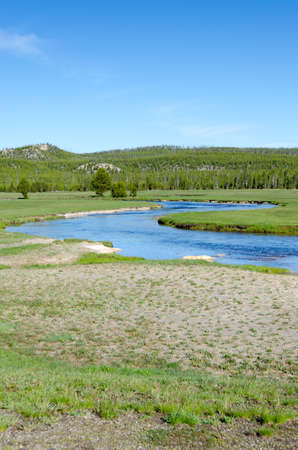 trees, river, Geyser and hot spring in old faithful basin in Yellowstone National Park in Wyomingの写真素材