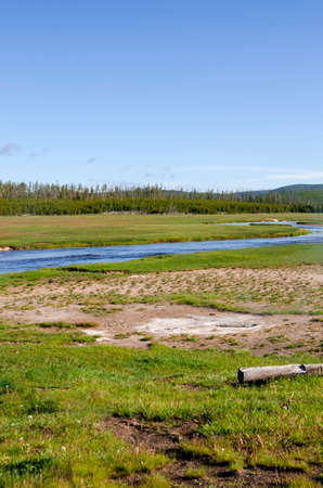 trees, river, Geyser and hot spring in old faithful basin in Yellowstone National Park in Wyomingの写真素材