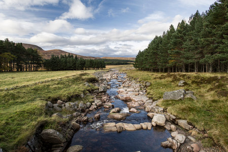 River flowing through a national park in Scotlandの写真素材