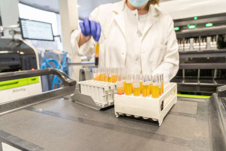 woman in laboratory doing tests for vaccine blood extraction and analyticalの写真素材