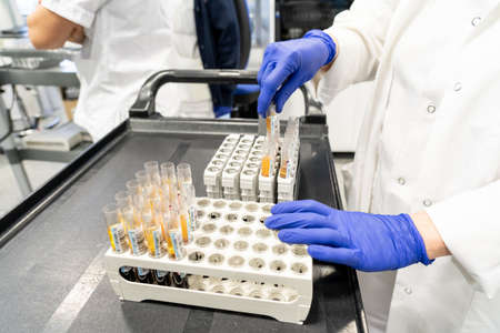 woman in laboratory doing tests for vaccine blood extraction and analyticalの写真素材