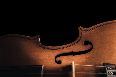 Half violin view and top darkの写真素材
