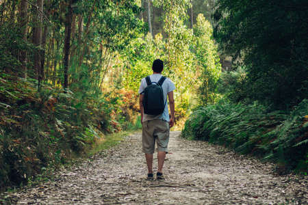 A man with a backpack walking on a path through forestの写真素材