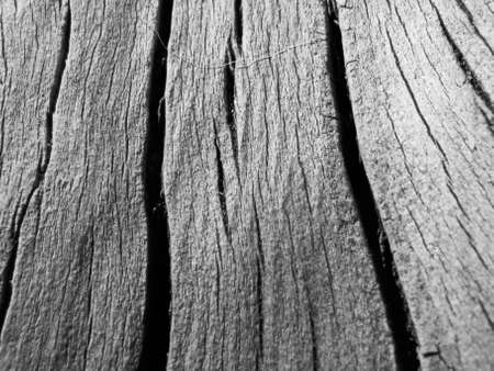 wood of an old treeの写真素材