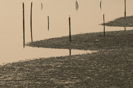 beach at dusk