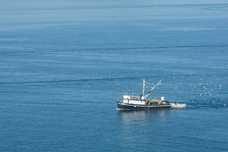 fishing at seaのeditorial素材