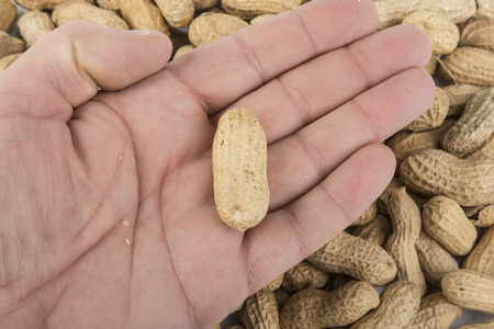 peeling peanuts on the table