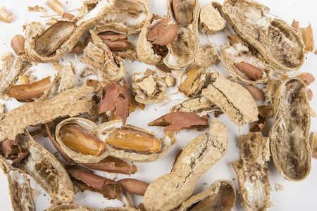 peanuts on the table