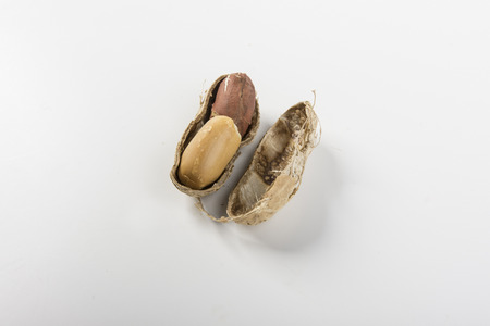 peanut on the table