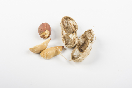 peeling peanuts on the table