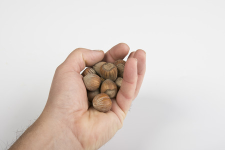 nuts on the handの写真素材
