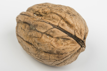 nut on the table