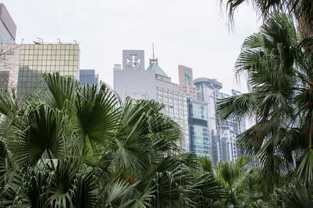 The Hong Kong parkのeditorial素材