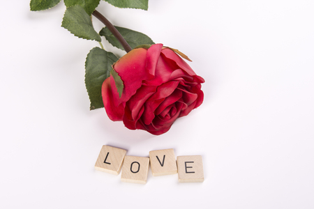 A red rose with the word "Love"の写真素材
