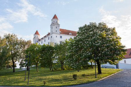 The castle in Bratislavaのeditorial素材