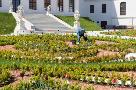 The baroque garden in the castle in Bratislavaのeditorial素材