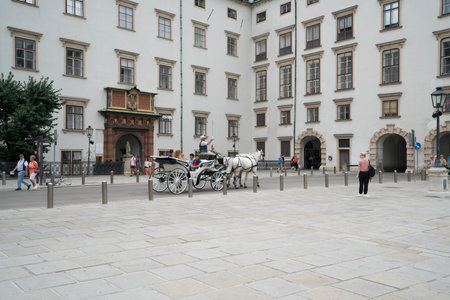 Horse carriage at the Hofburg Palace in Viennaのeditorial素材