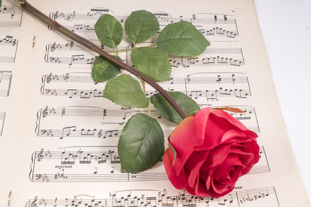 a red rose over a musical scoreの写真素材