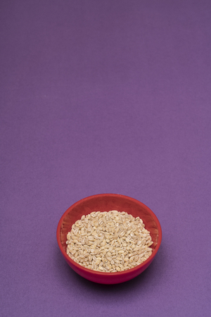 pearl barley a bowl on a colored backgroundの写真素材