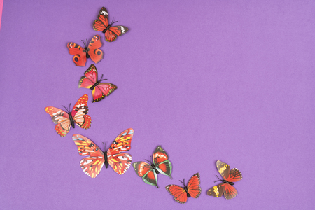 decorative butterflies on a colored backgroundの写真素材