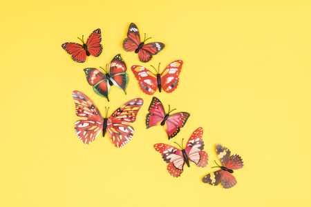 decorative butterflies on a colored backgroundの写真素材