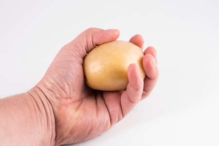 A potato on the handの写真素材