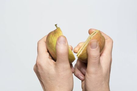 An apple cut in handの写真素材