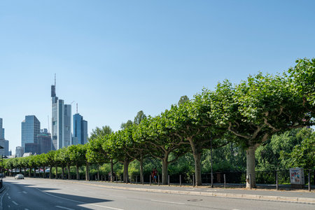 Frankfurt, Germany. July 2019.   a tree-lined avenue with the skyscrapers skyline  in the backgroundのeditorial素材