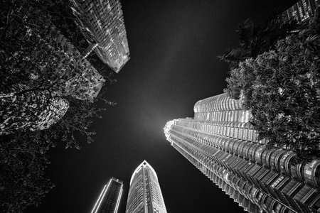 Kuala Lumpur, Malaysia. January 2019.  a night view of the Petronas towers among the trees of a city parkのeditorial素材