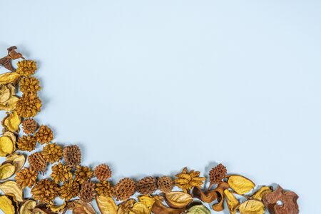 some dried flowers on a yellow surfaceの写真素材