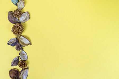 some dried flowers on a yellow surfaceの写真素材