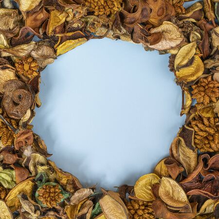 some dried flowers on a blue surfaceの写真素材