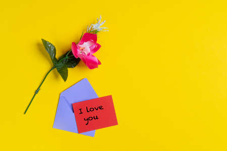 I love you on a colored cardの写真素材