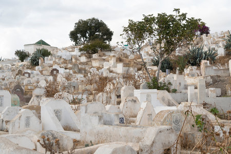 Fez, Morocco. November 9, 2019.  panoramic view of the Muslim cemetery in Fesのeditorial素材